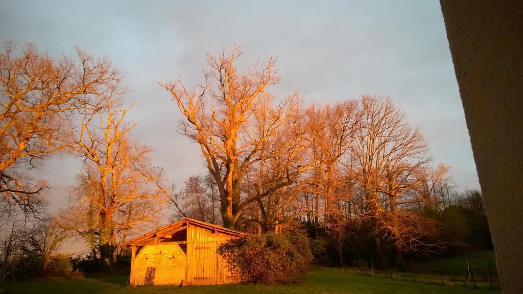 Castel La Bergerie Bed & Breakfast Laglorieuse Exterior foto